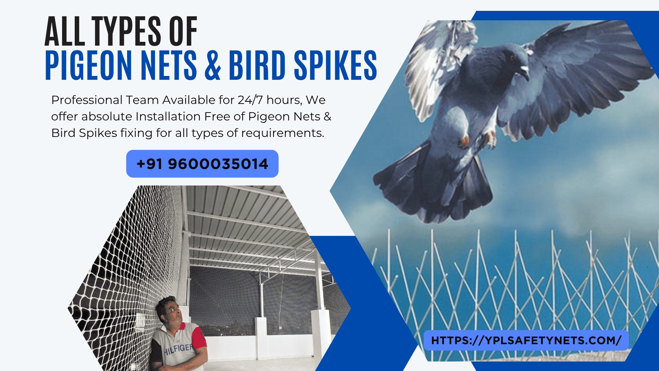 pigeon nets & spikes